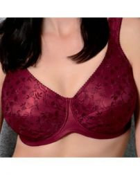 Format Mieder B�gel BH 2 geteiltes Cup Serie 026